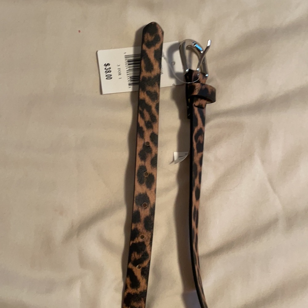 Belt - Picture 2 of 3